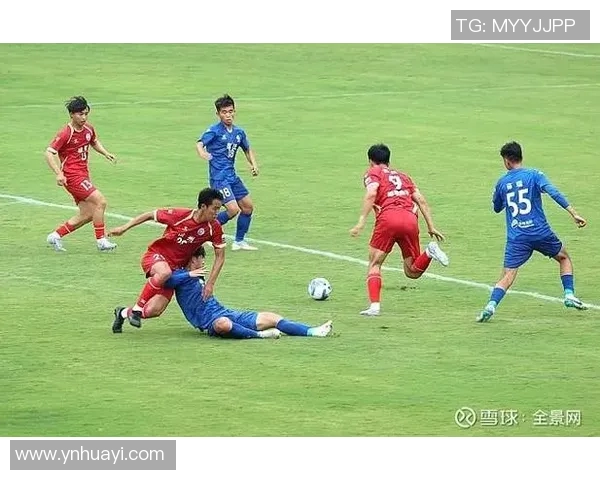 足球明星图鉴大全高清解析各大球星风采与成就的全景展示